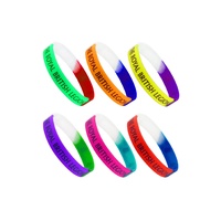 Colour Blend Silicone Band