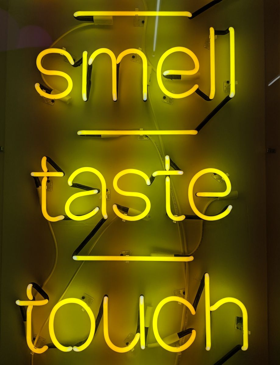 Neon sign glowing bright yellow with words, smell, touch, taste 